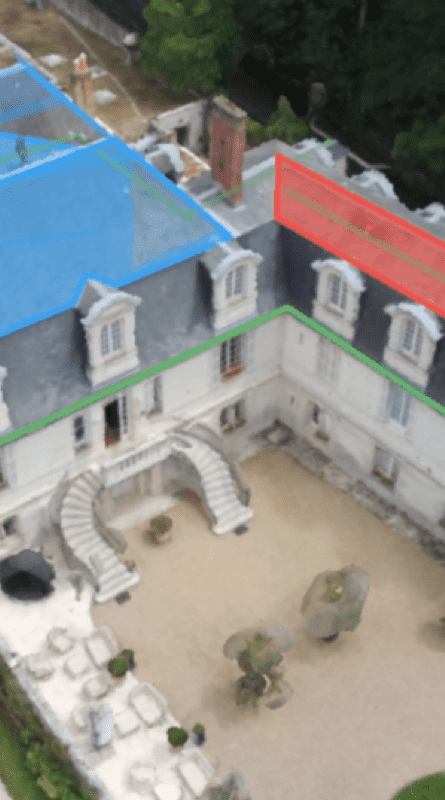 illustration parrot section 2